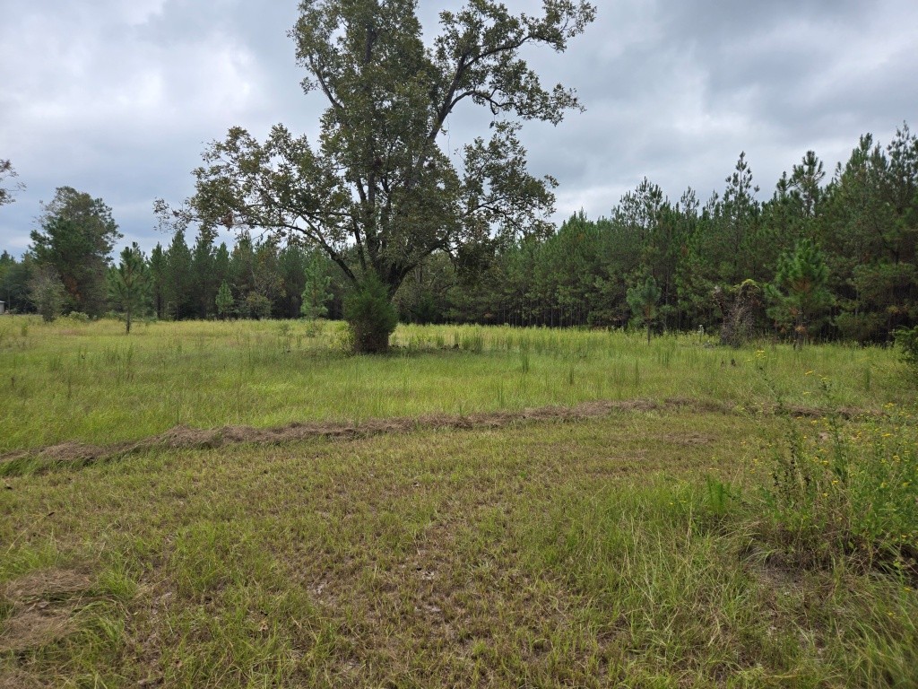 Alton Lawson Getaway Photo