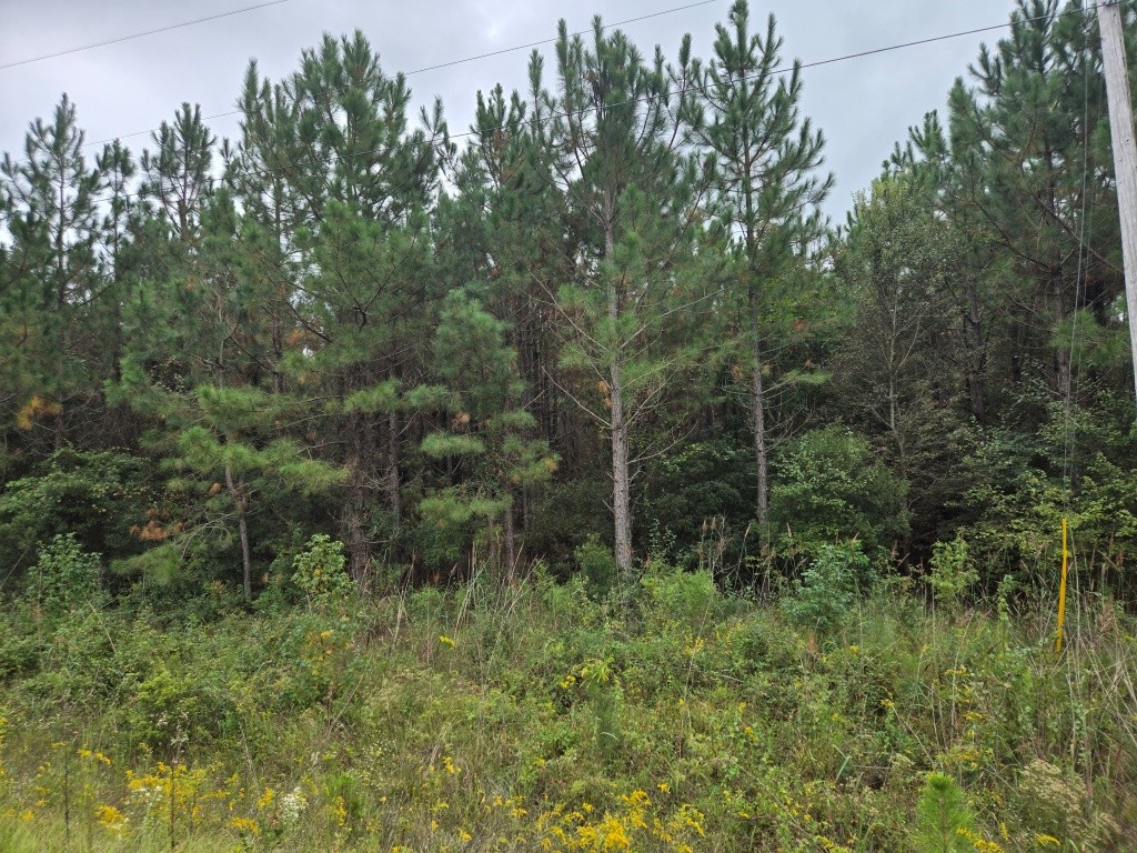 Alton Lawson Getaway Photo
