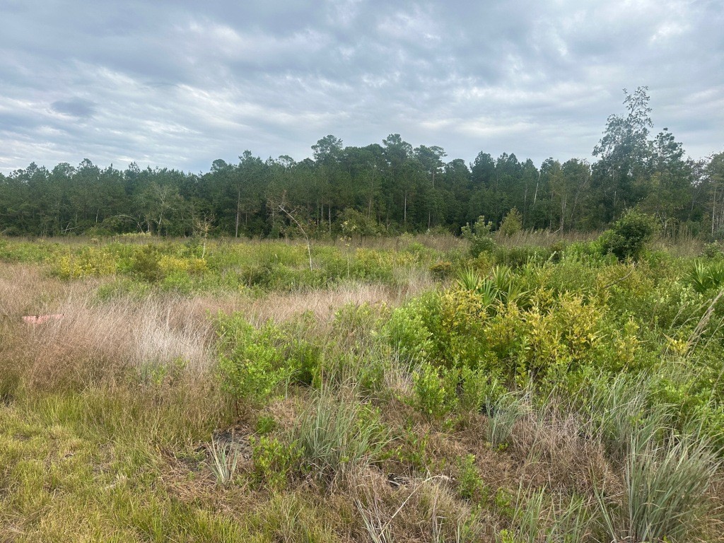 Low Ground Road Photo