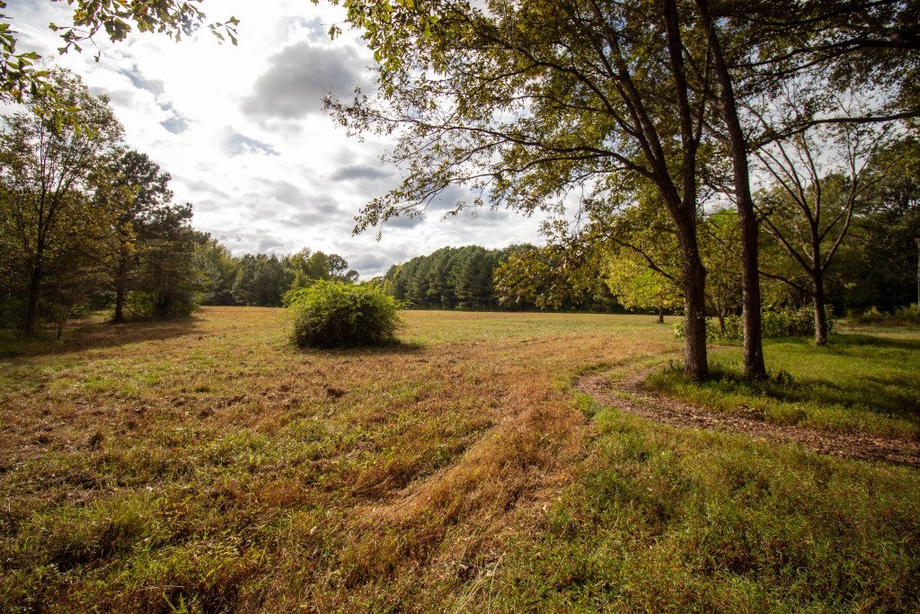 Dead Oak Tract Photo