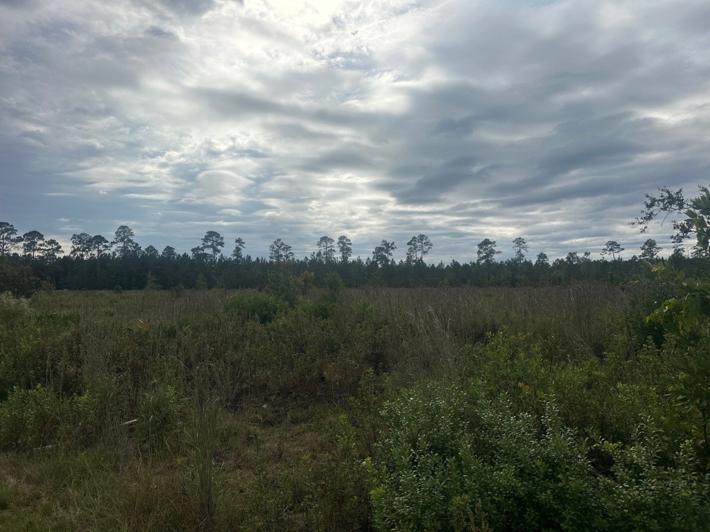 Low Ground Road Photo