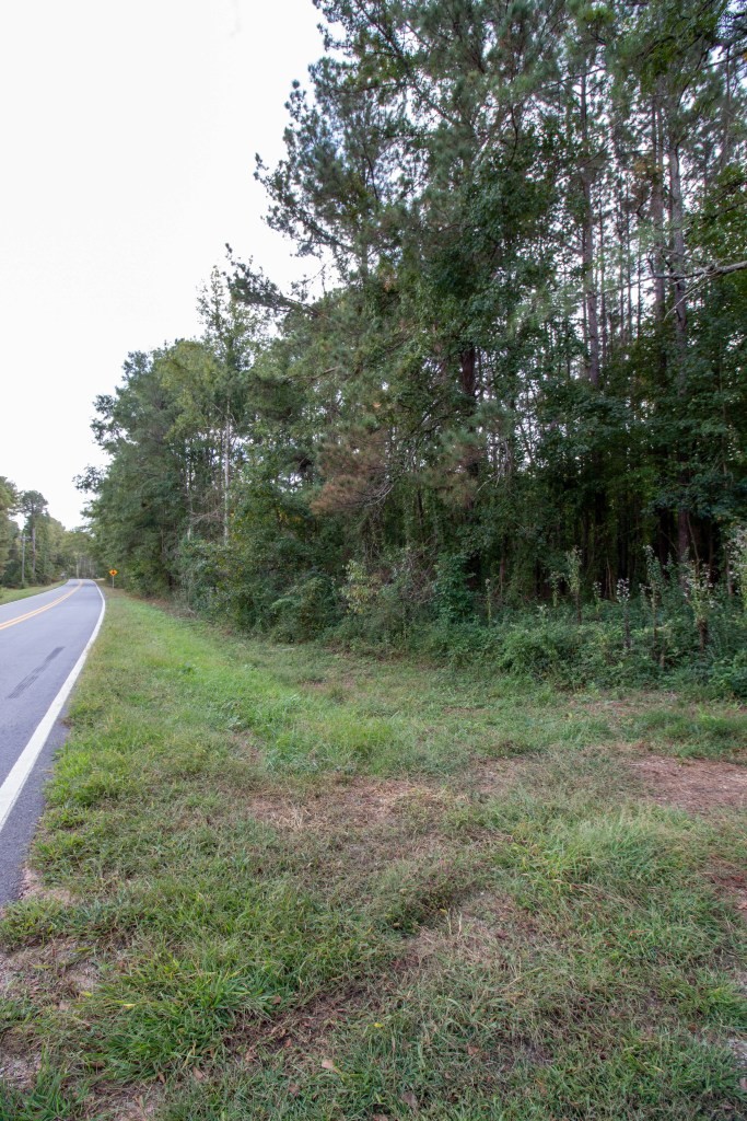 Dead Oak Tract Photo