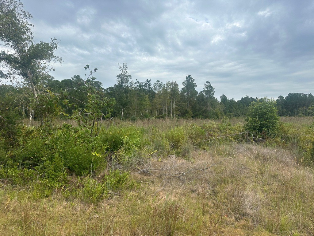 Low Ground Road Photo