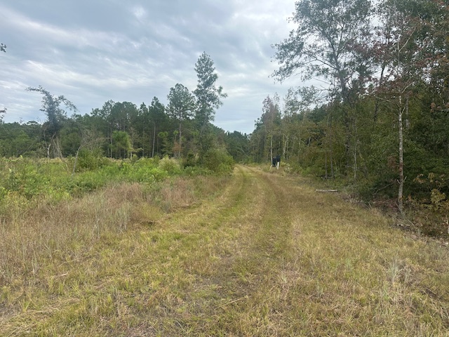 Low Ground Road Photo