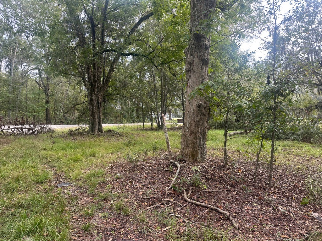 Low Ground Road Photo