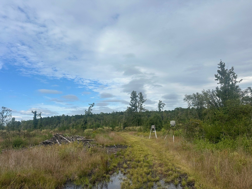Low Ground Road Photo