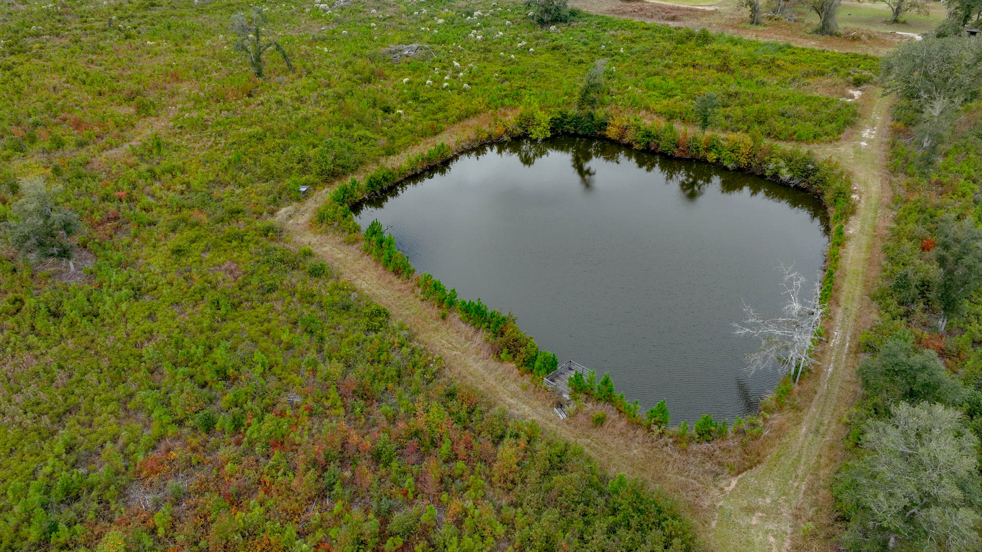 Hendrix Bridge Farm Photo