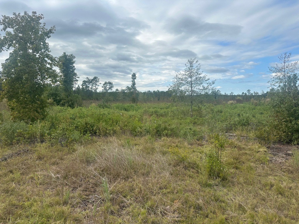 Low Ground Road Photo