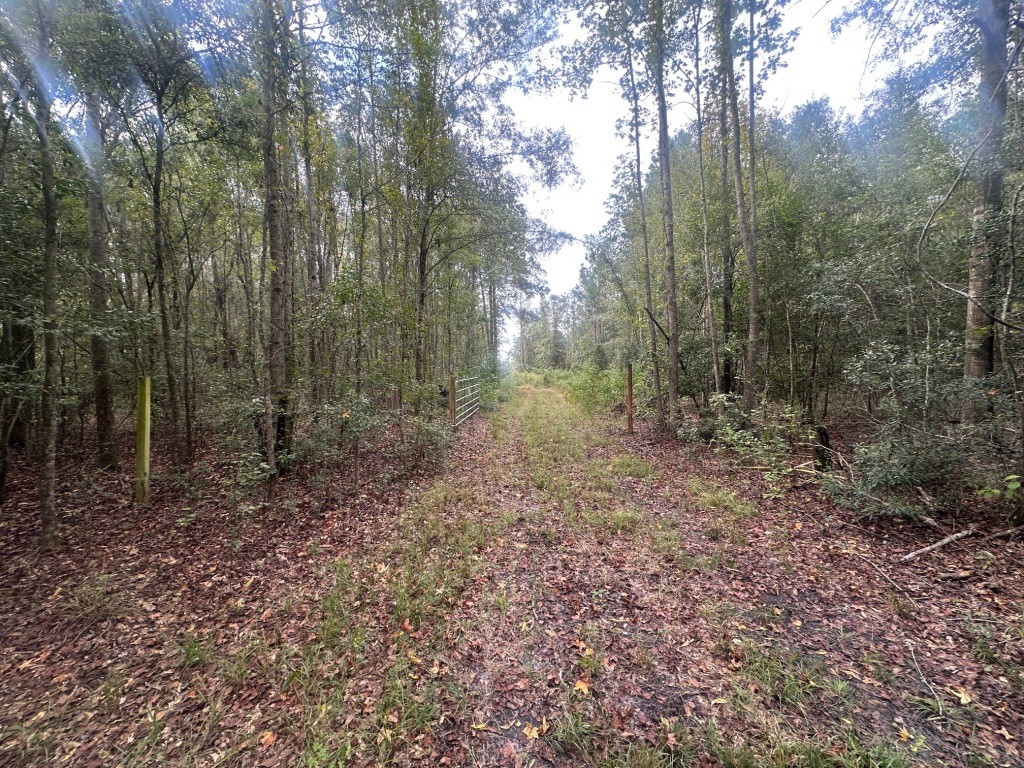 Low Ground Road Photo