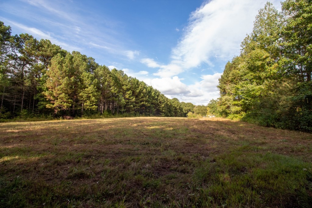 Dead Oak Tract Photo