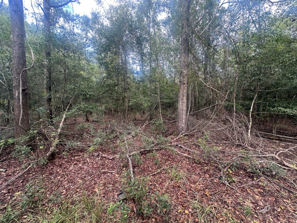 Low Ground Road Photo