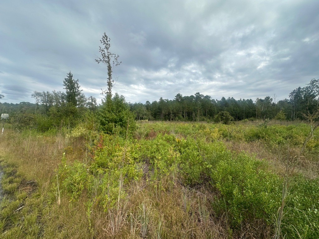Low Ground Road Photo
