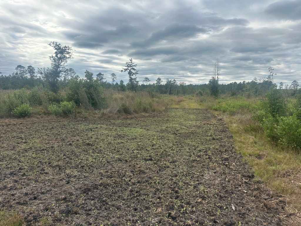 Low Ground Road Photo