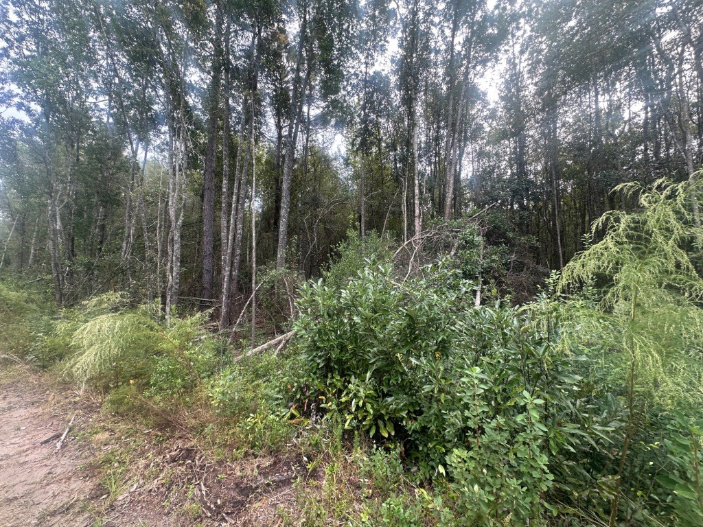 Low Ground Road Photo