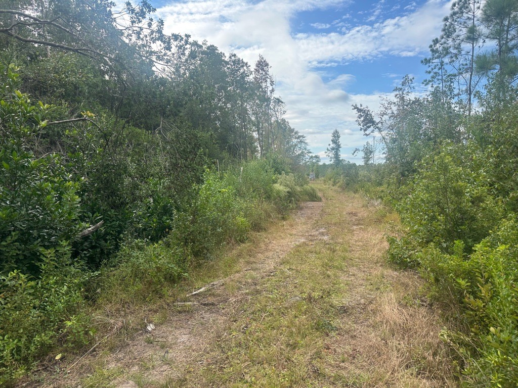 Low Ground Road Photo