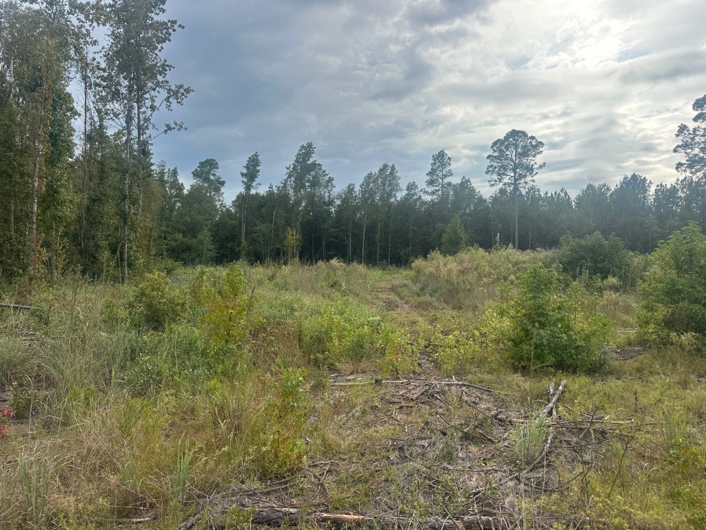 Low Ground Road Photo