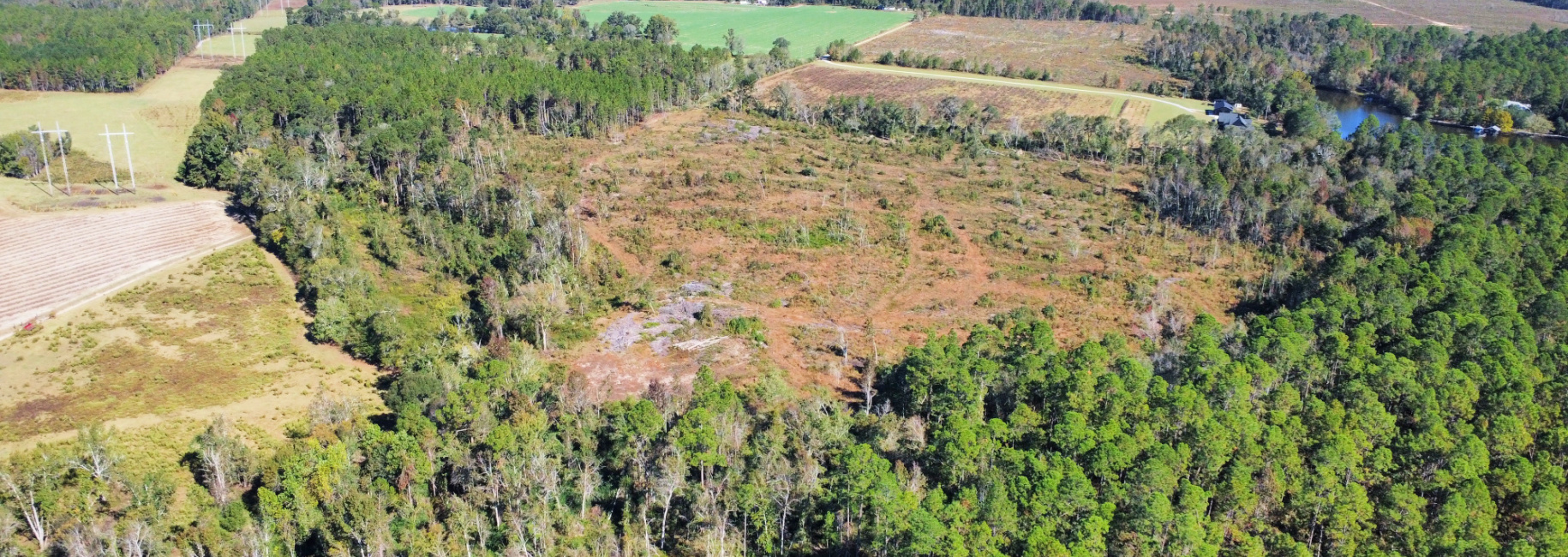 Bird Flanders Road Main Photo