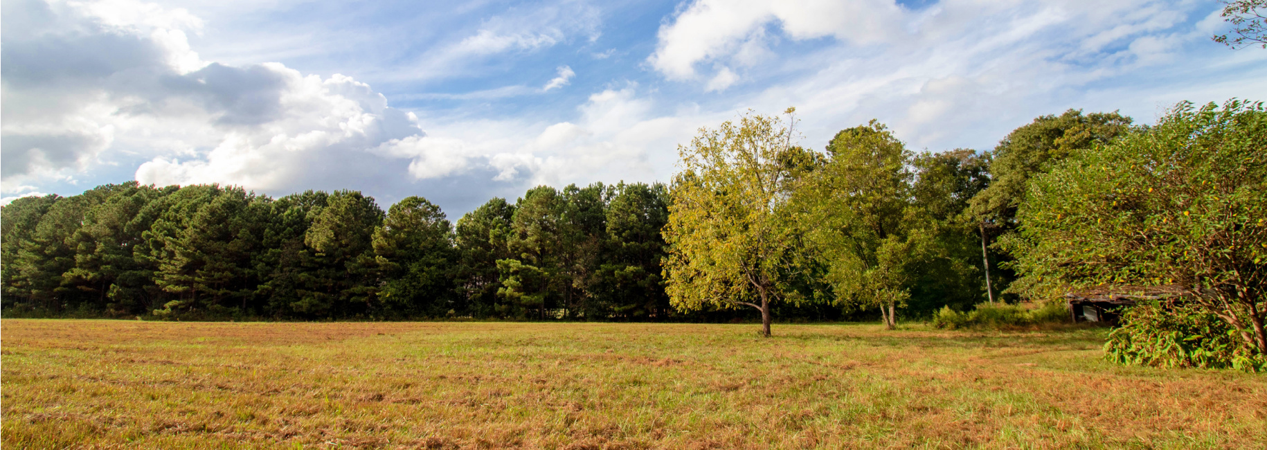 Dead Oak Tract Main Photo