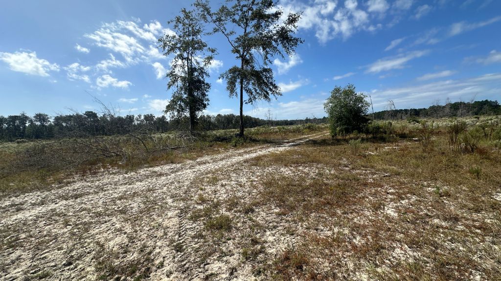 Runs Branch Plantation Photo