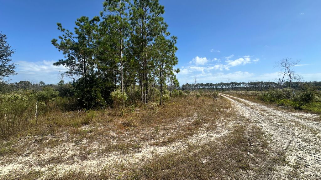 Runs Branch Plantation Photo