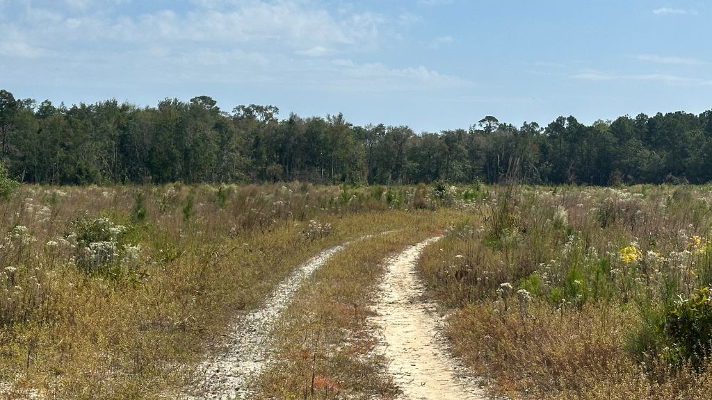 Runs Branch Plantation Photo