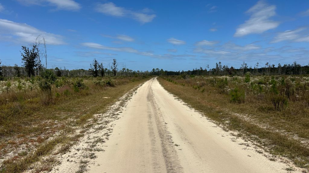 Runs Branch Plantation Photo