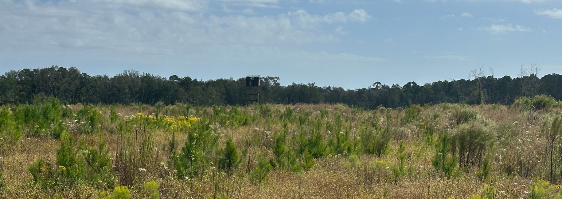 Runs Branch Plantation Main Photo