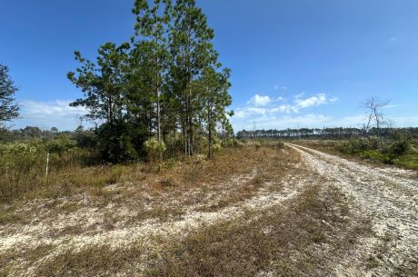 Runs Branch Plantation