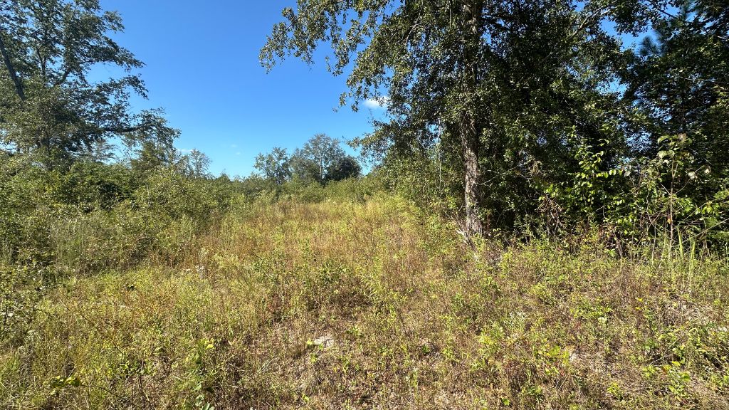 Ski Pond Homesite Photo