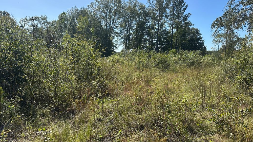 Ski Pond Homesite Photo