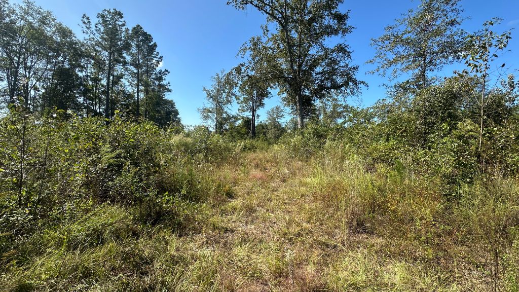 Ski Pond Homesite Photo