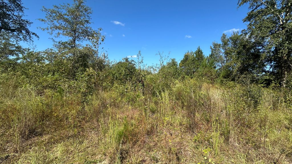 Ski Pond Homesite Photo