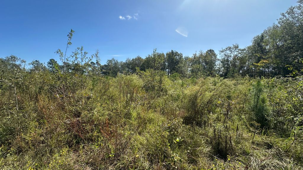 Ski Pond Homesite Photo