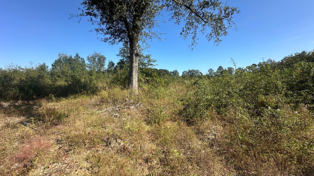 Ski Pond Homesite Photo