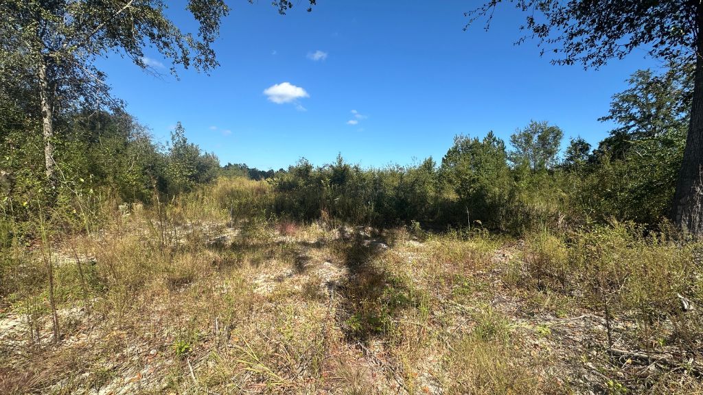 Ski Pond Homesite Photo