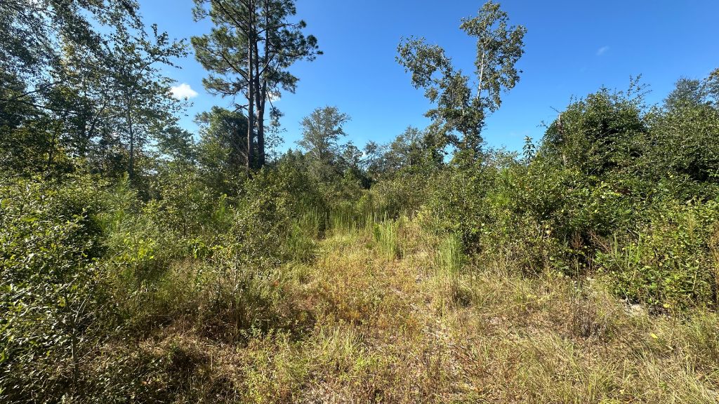 Ski Pond Homesite Photo