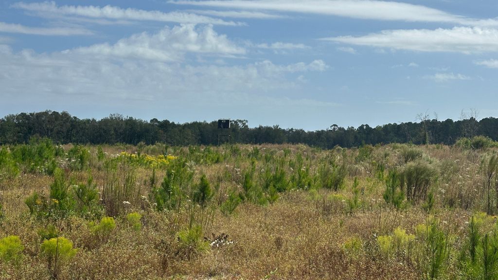 Ski Pond Homesite Photo