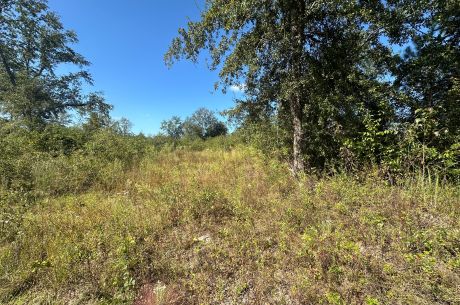 Ski Pond Homesite