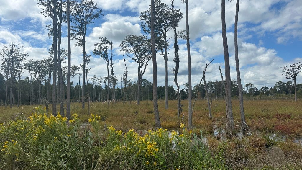South Fork Photo