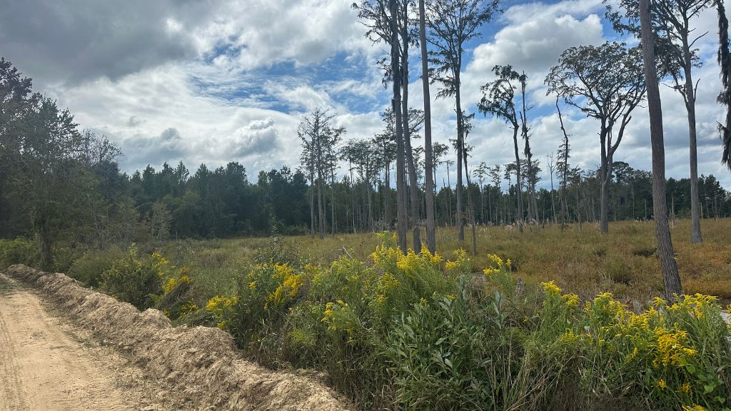 South Fork Photo