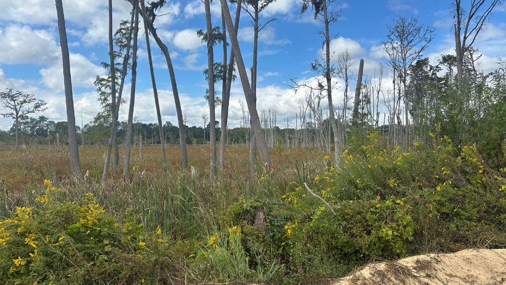 South Fork Photo