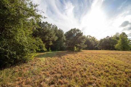 Dead Oak Tract