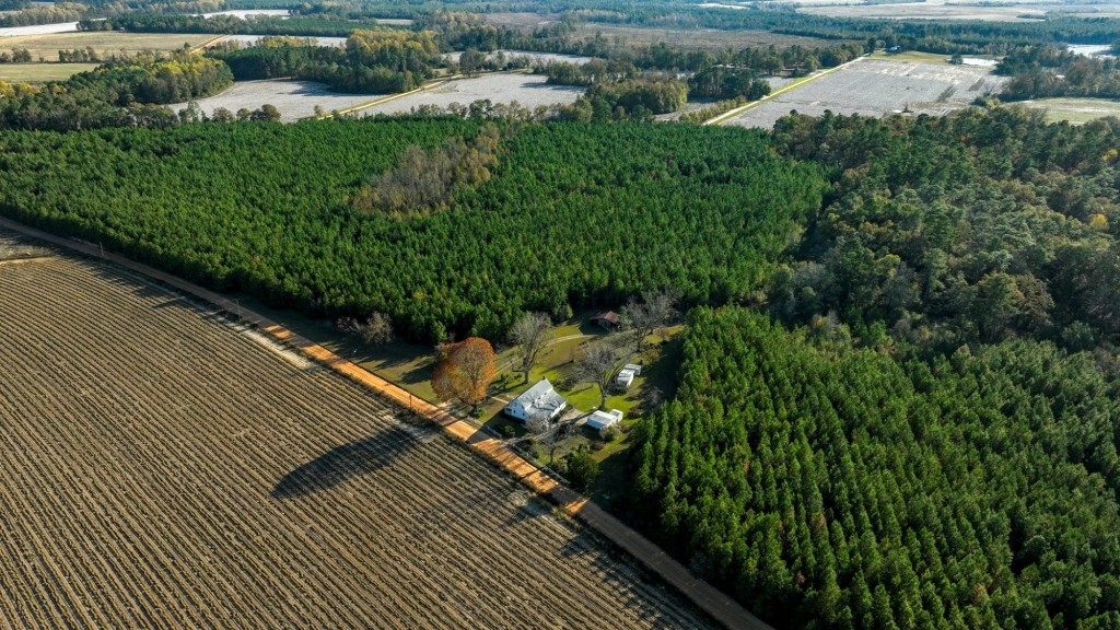 New Light Homeplace Photo