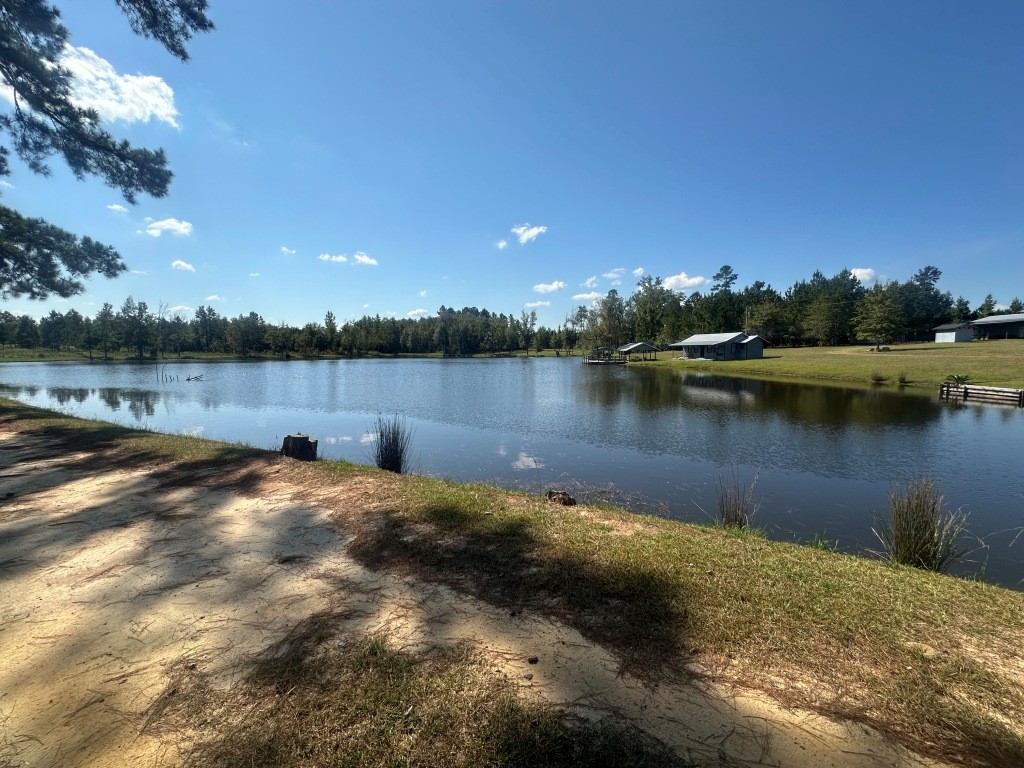 Hiltonia Lakes Photo