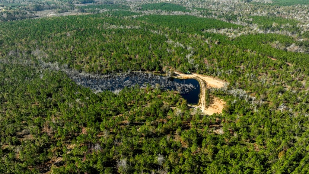 Laurens Ponds & Pines Photo