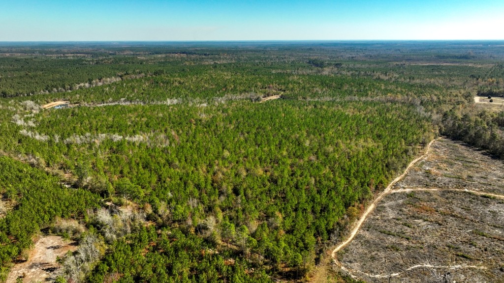 Laurens Ponds & Pines Photo