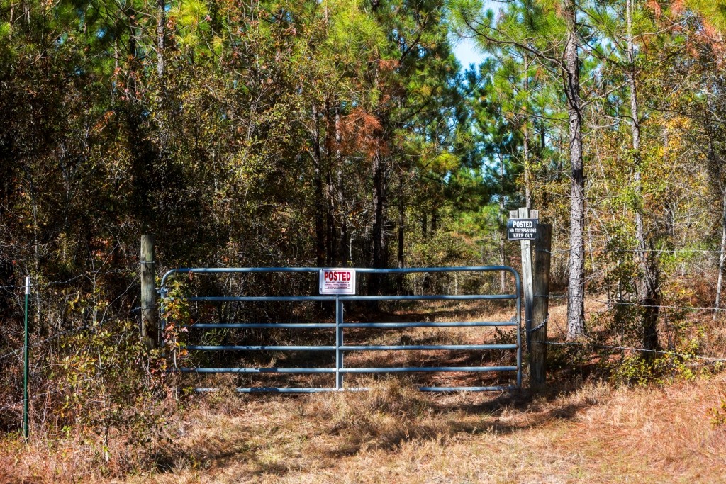 Laurens Ponds & Pines Photo