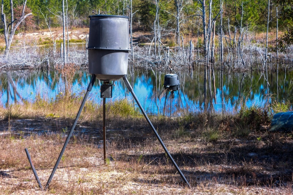 Laurens Ponds & Pines Photo