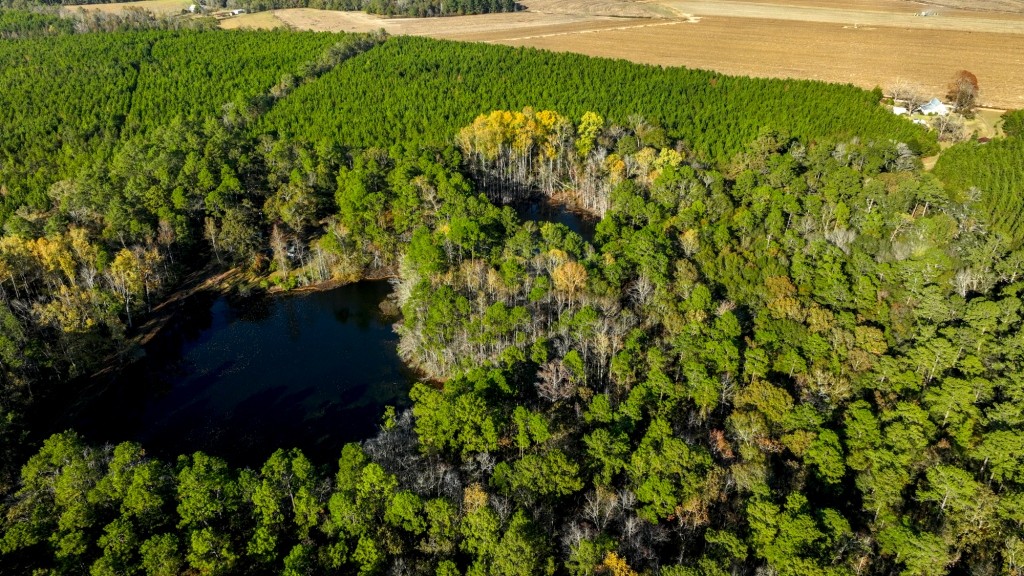 New Light Homeplace Photo