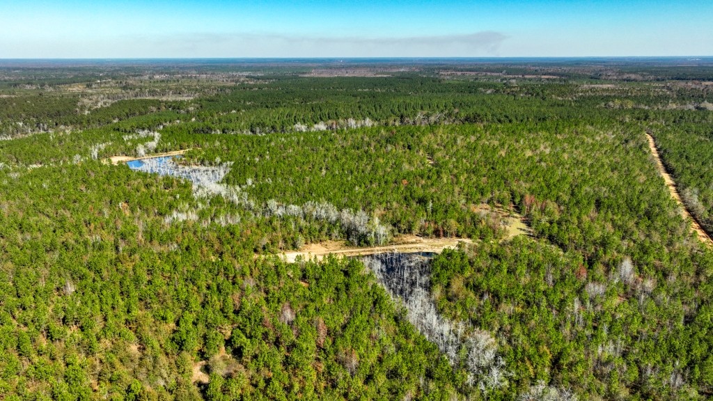 Laurens Ponds & Pines Photo